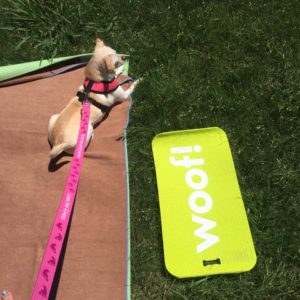 Doga at Fabletics Legacy West